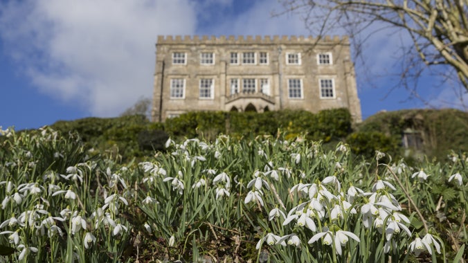 Snowdrops on the rockery below the house at Newark Park, Gloucestershire